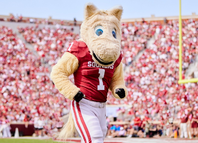 Football stadium mascot